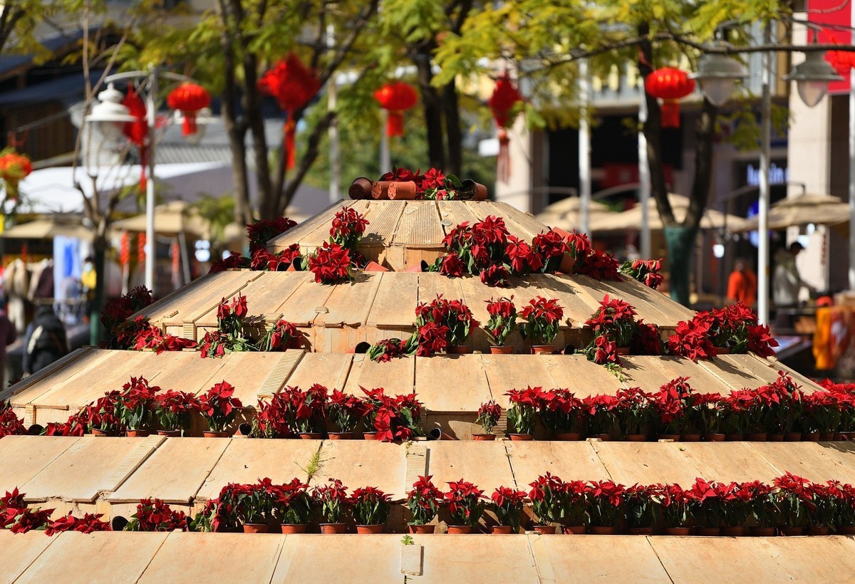 2024年初冬日里城市的足印