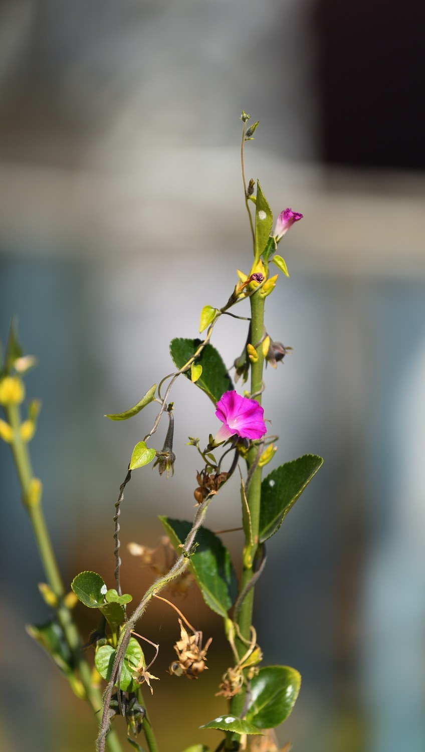 2024年初冬日里城市的足印