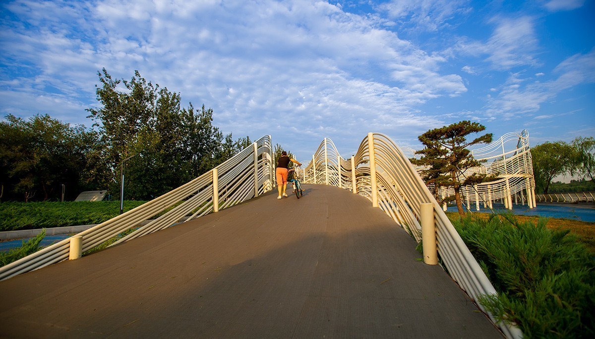 湿地有座山水桥