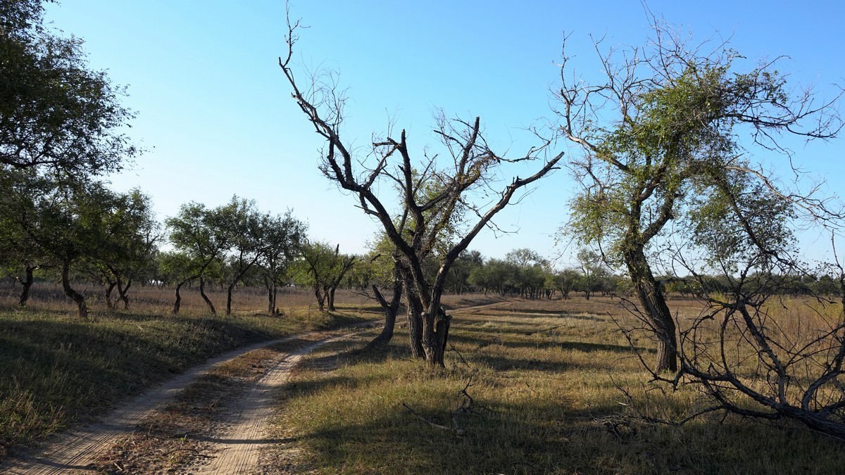 吉林向海自然保护区