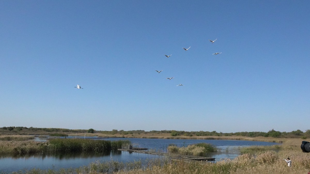 吉林向海自然保护区