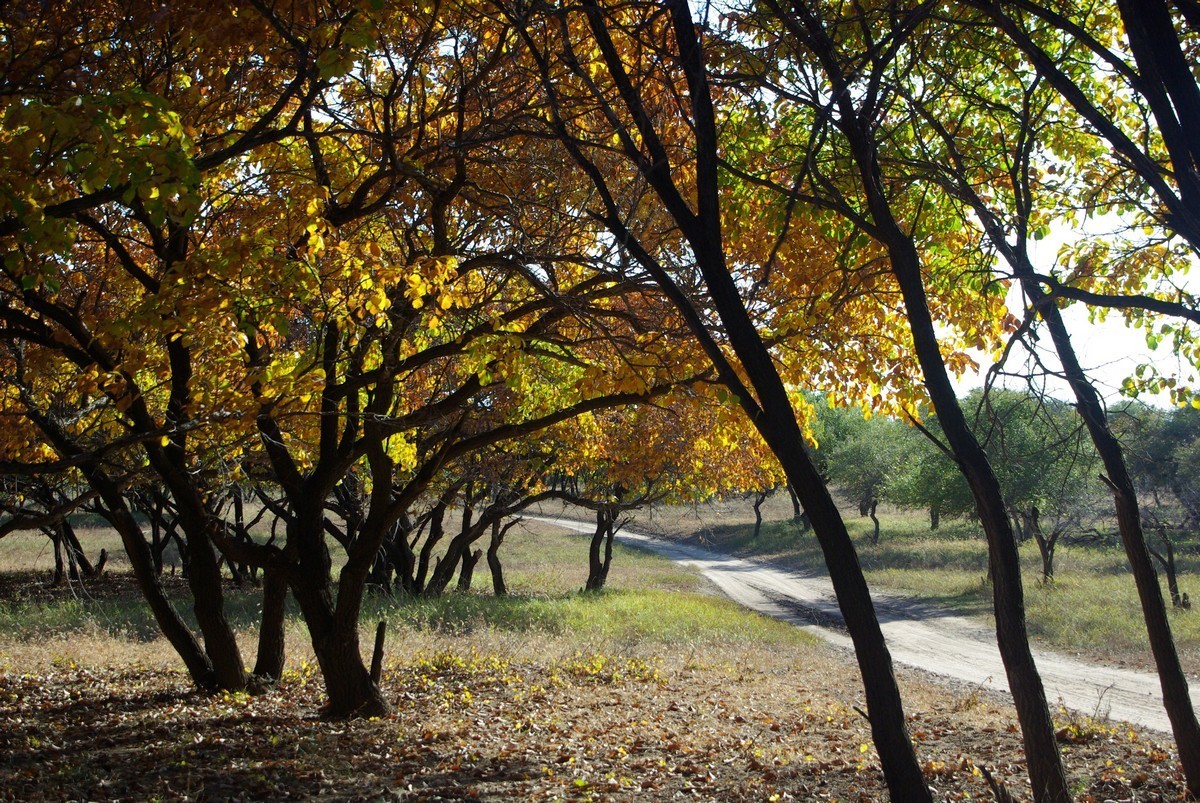 吉林向海自然保护区