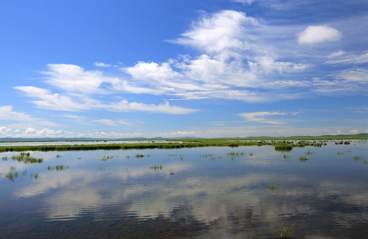 自驾若尔盖—花湖看草(2)