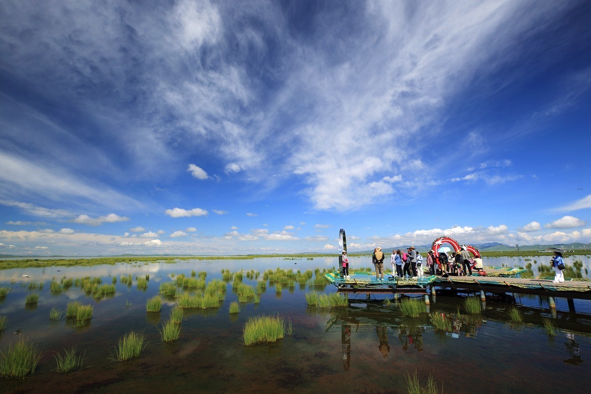 自驾若尔盖—花湖看草(2)