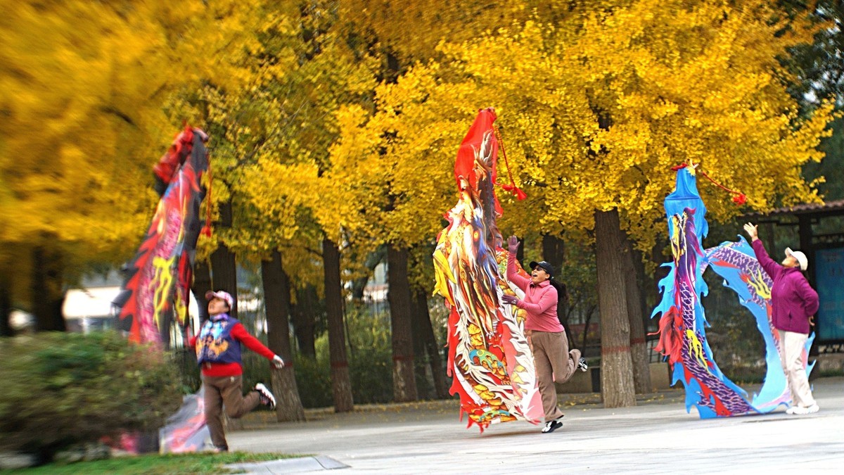 银杏树下飞龙舞