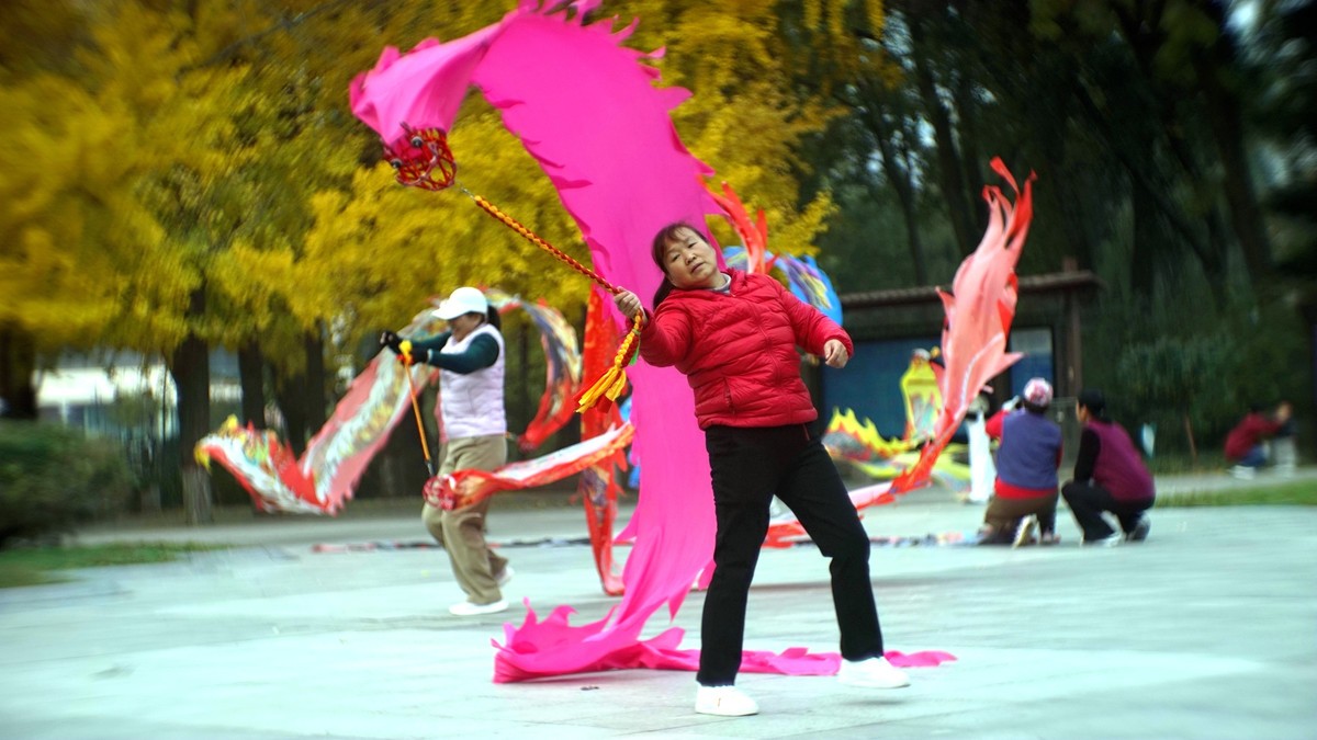 银杏树下飞龙舞