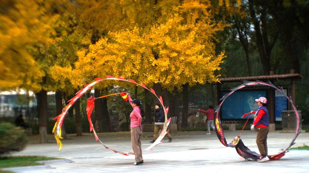 银杏树下飞龙舞