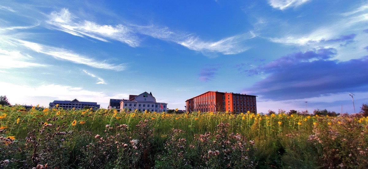 金秋的晚霞（手机随拍）