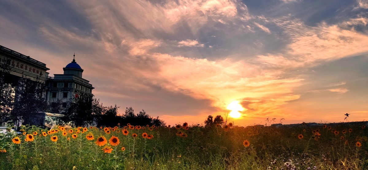 金秋的晚霞（手机随拍）