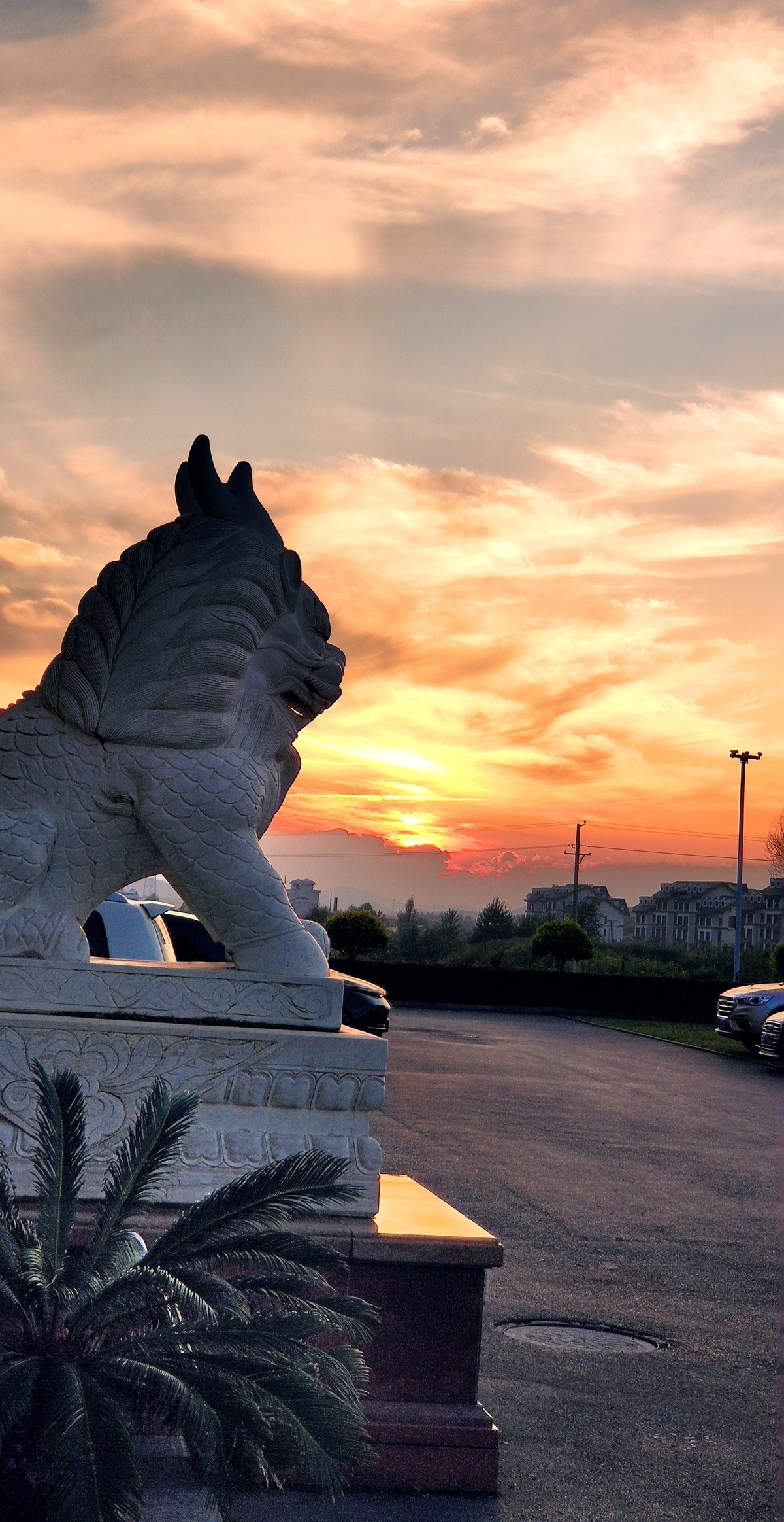 金秋的晚霞（手机随拍）