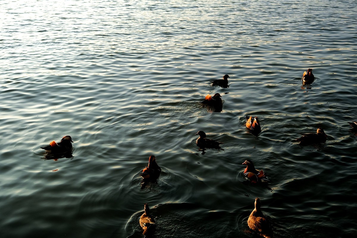 日落夕阳下的西湖美景