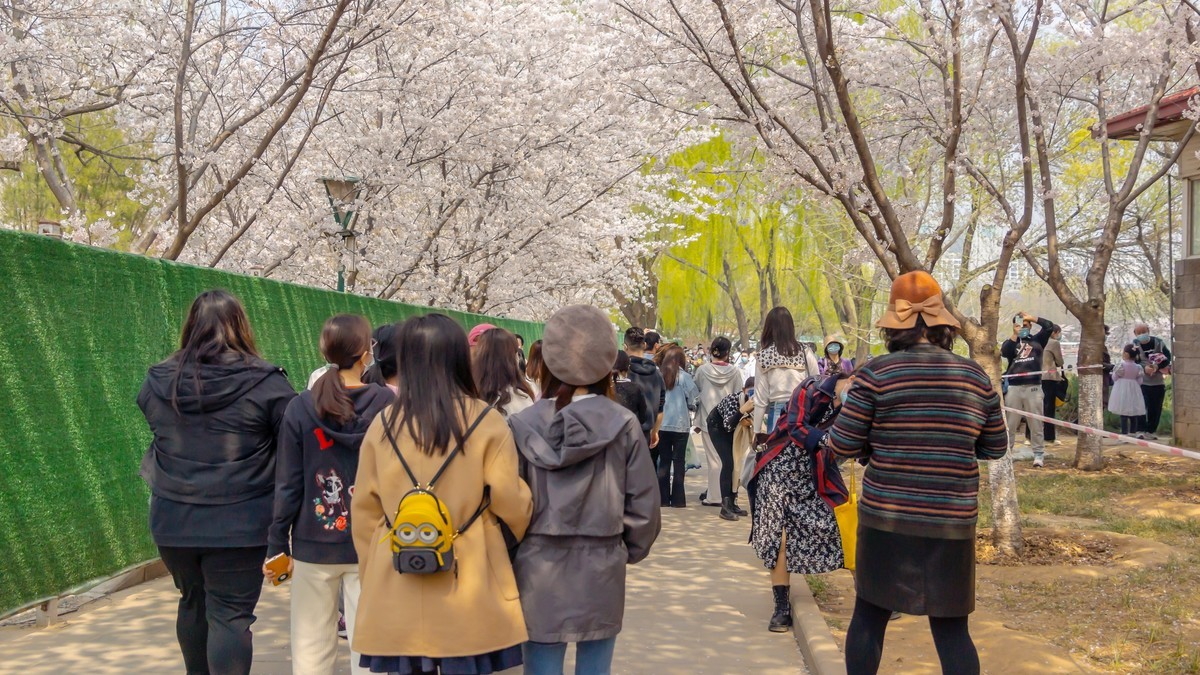 春游玉渊潭20220404 《23》