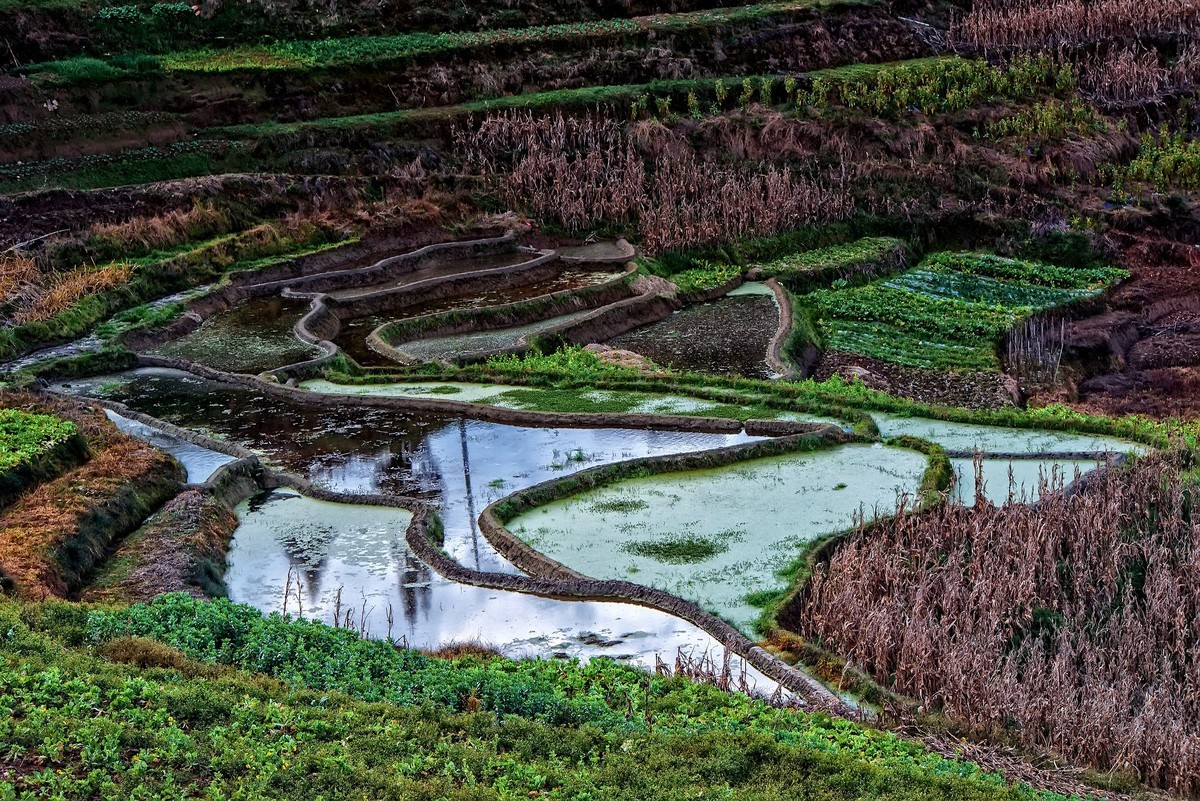 元江梯田风景名胜区图片