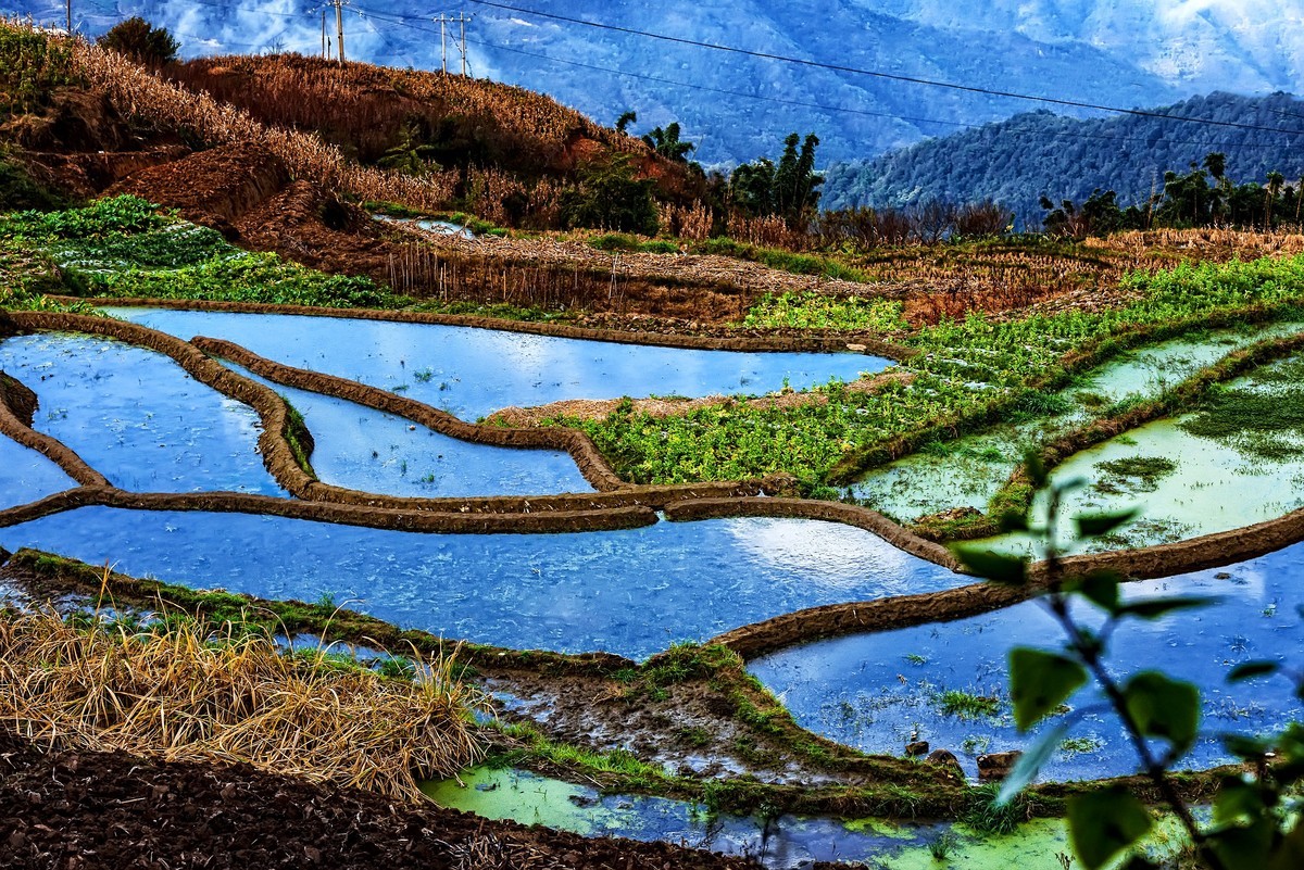 元江梯田风景名胜区图片