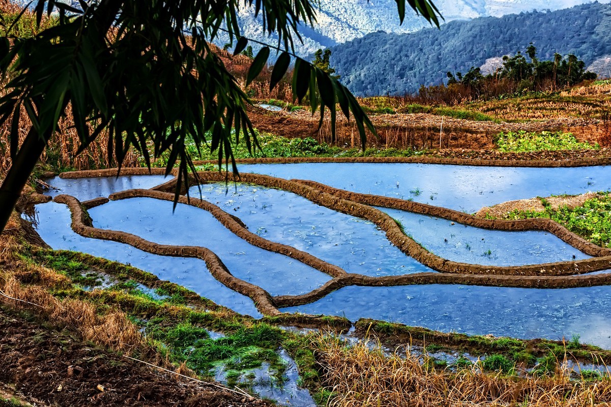 元江梯田风景名胜区图片