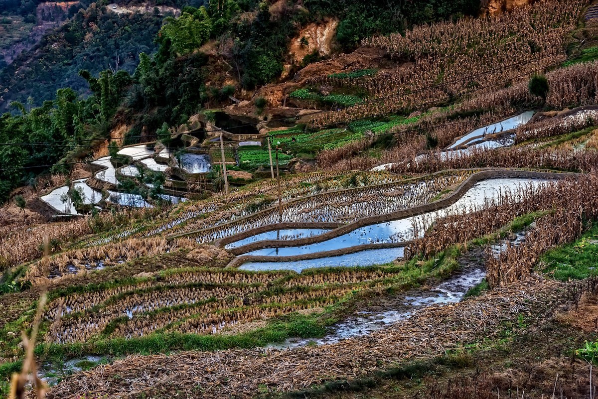 元江梯田风景名胜区图片