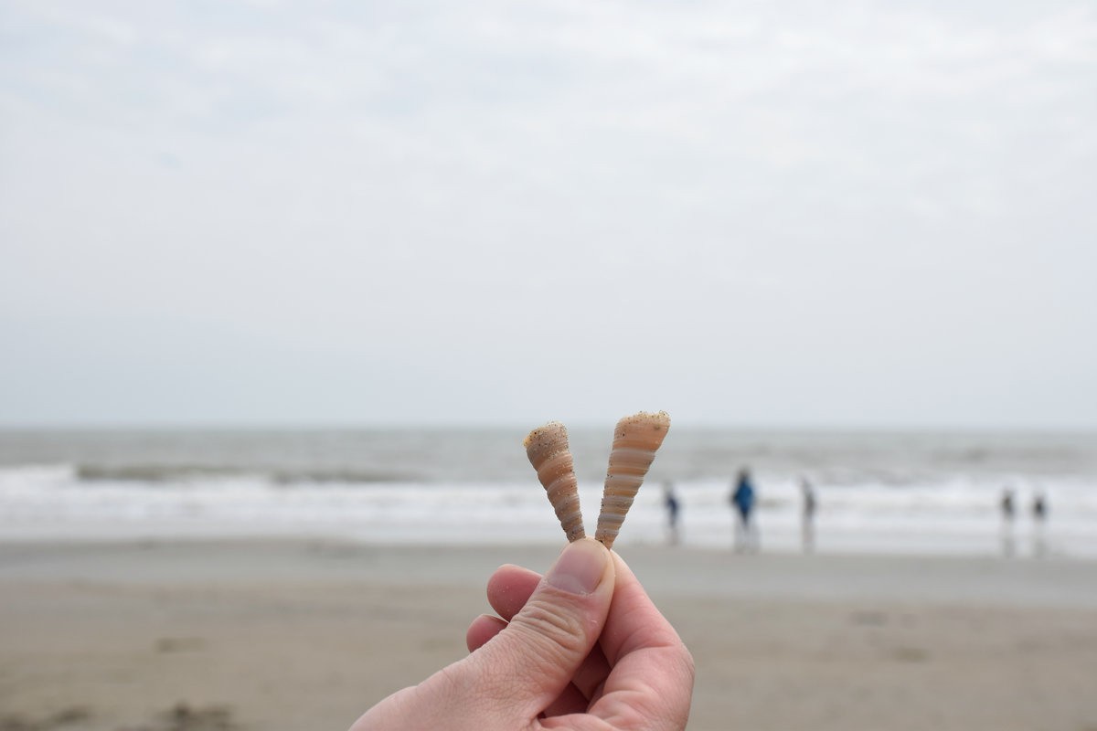 2023春节 桂粤行（9）巧遇海市蜃楼