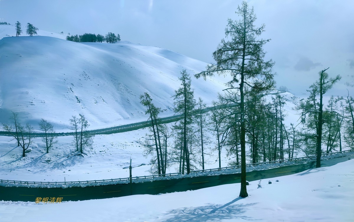 早春北疆之旅（83）：喀纳斯景区（手机）—12