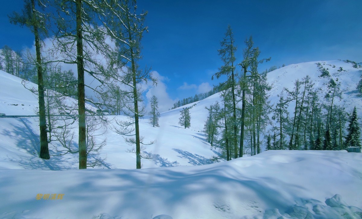 早春北疆之旅（83）：喀纳斯景区（手机）—12