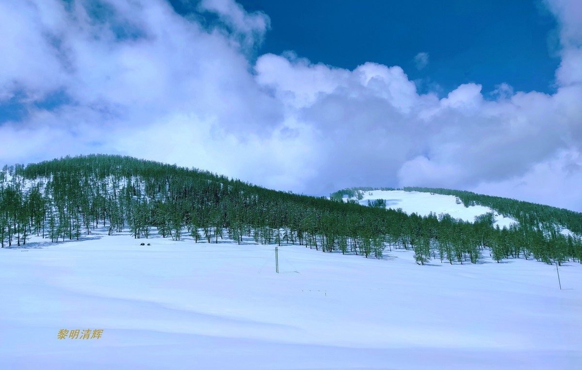 早春北疆之旅（83）：喀纳斯景区（手机）—12