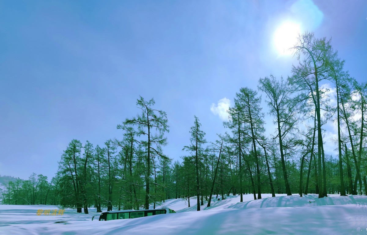 早春北疆之旅（83）：喀纳斯景区（手机）—12