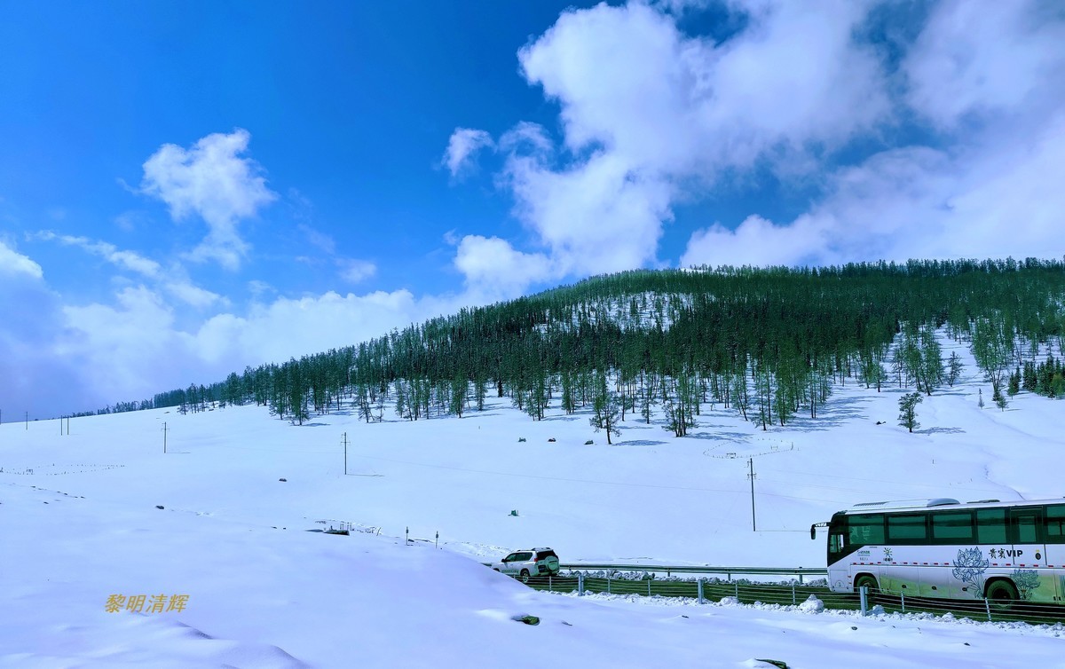 早春北疆之旅（83）：喀纳斯景区（手机）—12