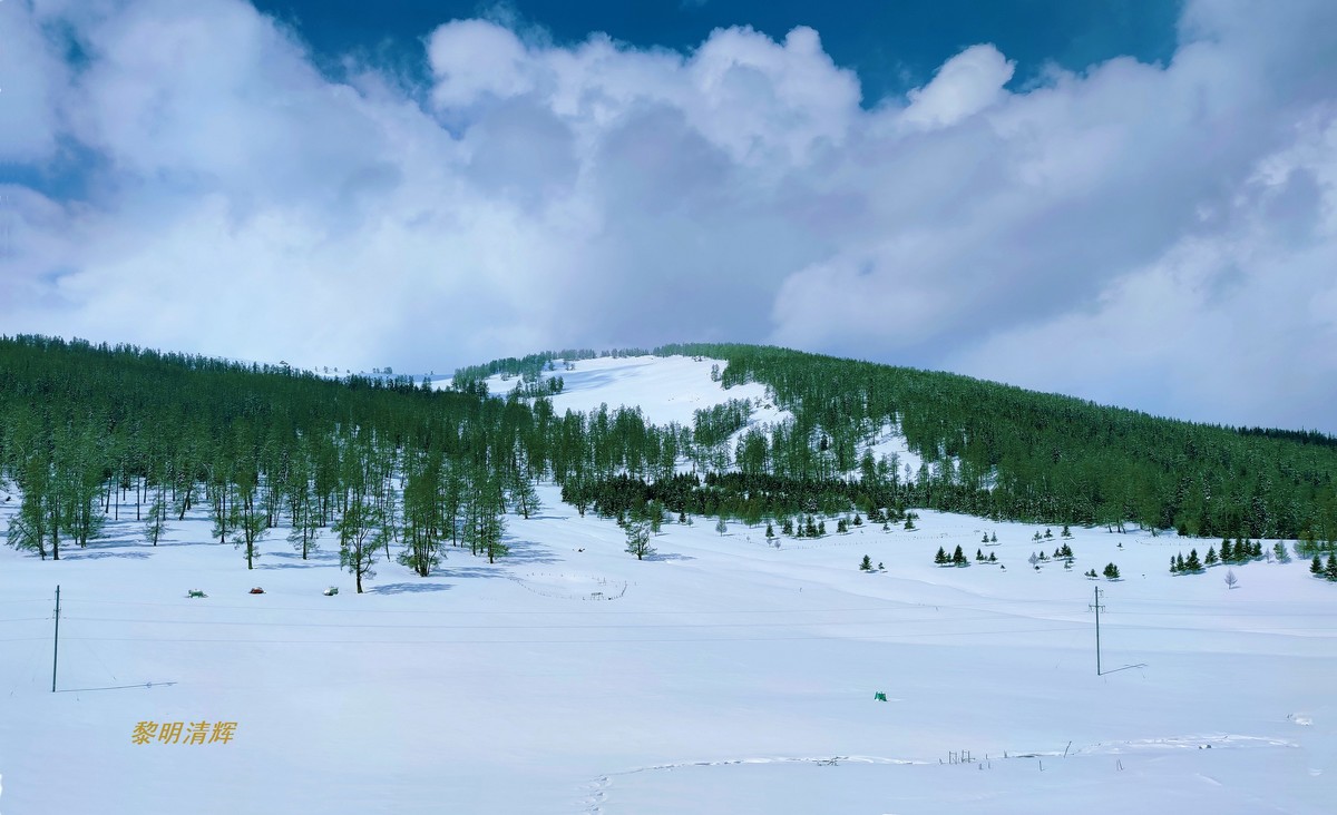 早春北疆之旅（83）：喀纳斯景区（手机）—12