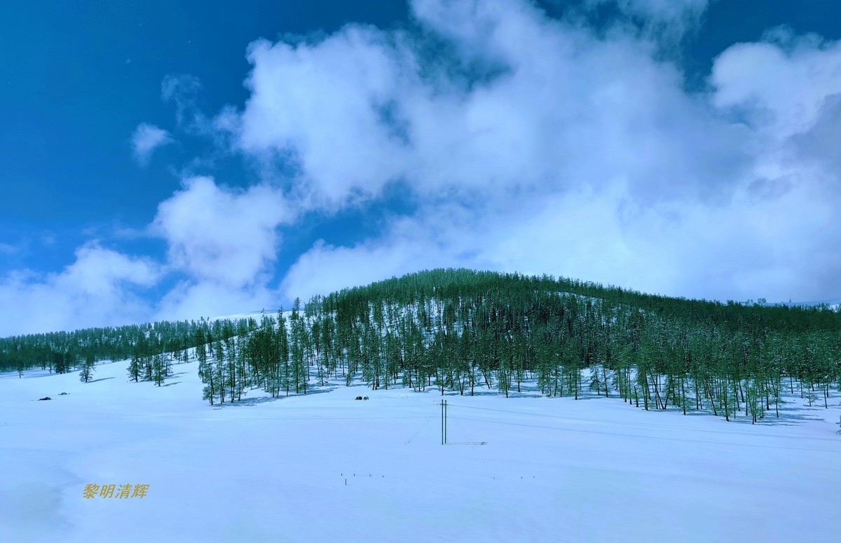 早春北疆之旅（83）：喀纳斯景区（手机）—12