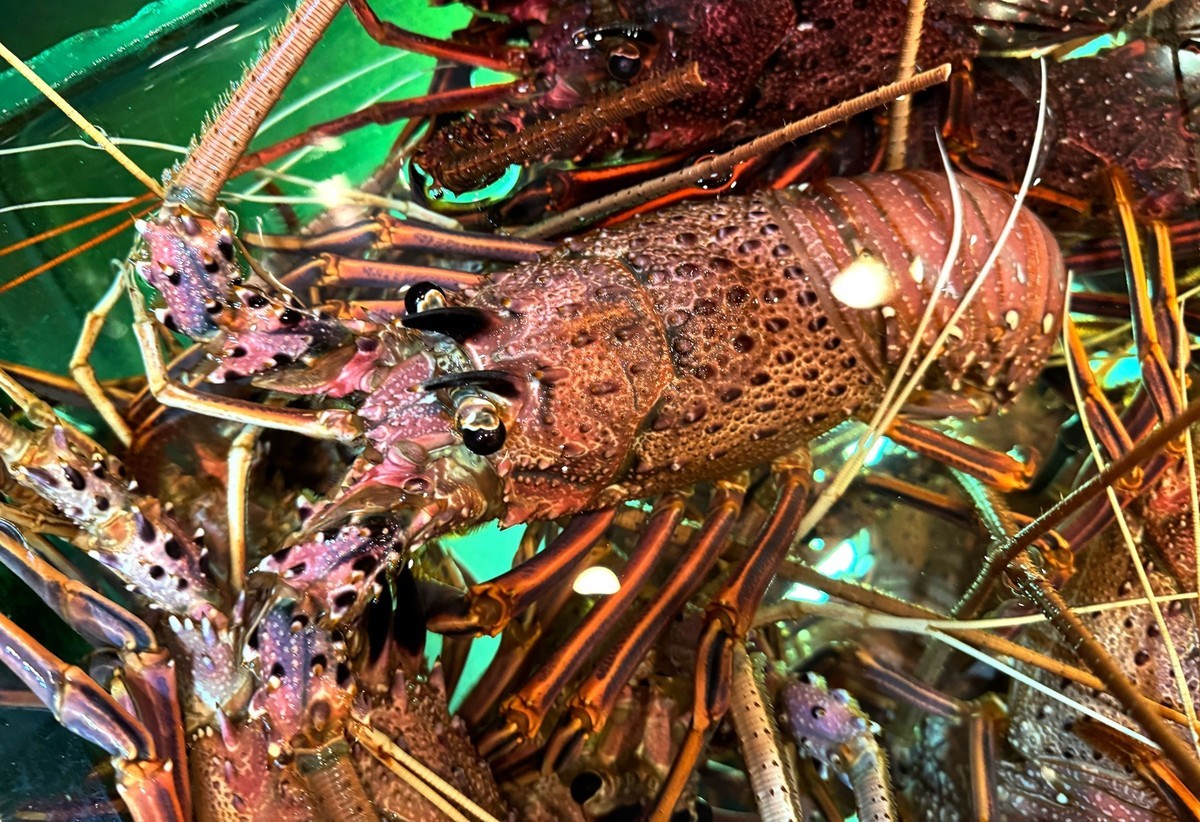 海鲜酒楼--香港【手机图】