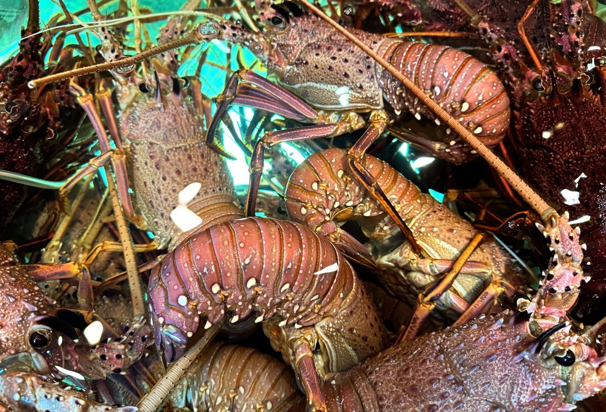 海鲜酒楼--香港【手机图】