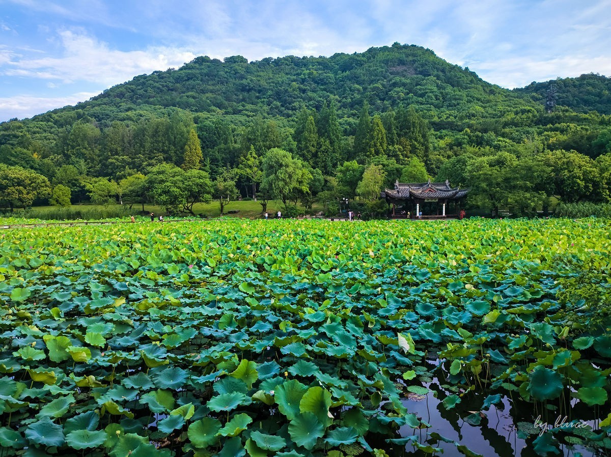 夏日湘湖（4）
