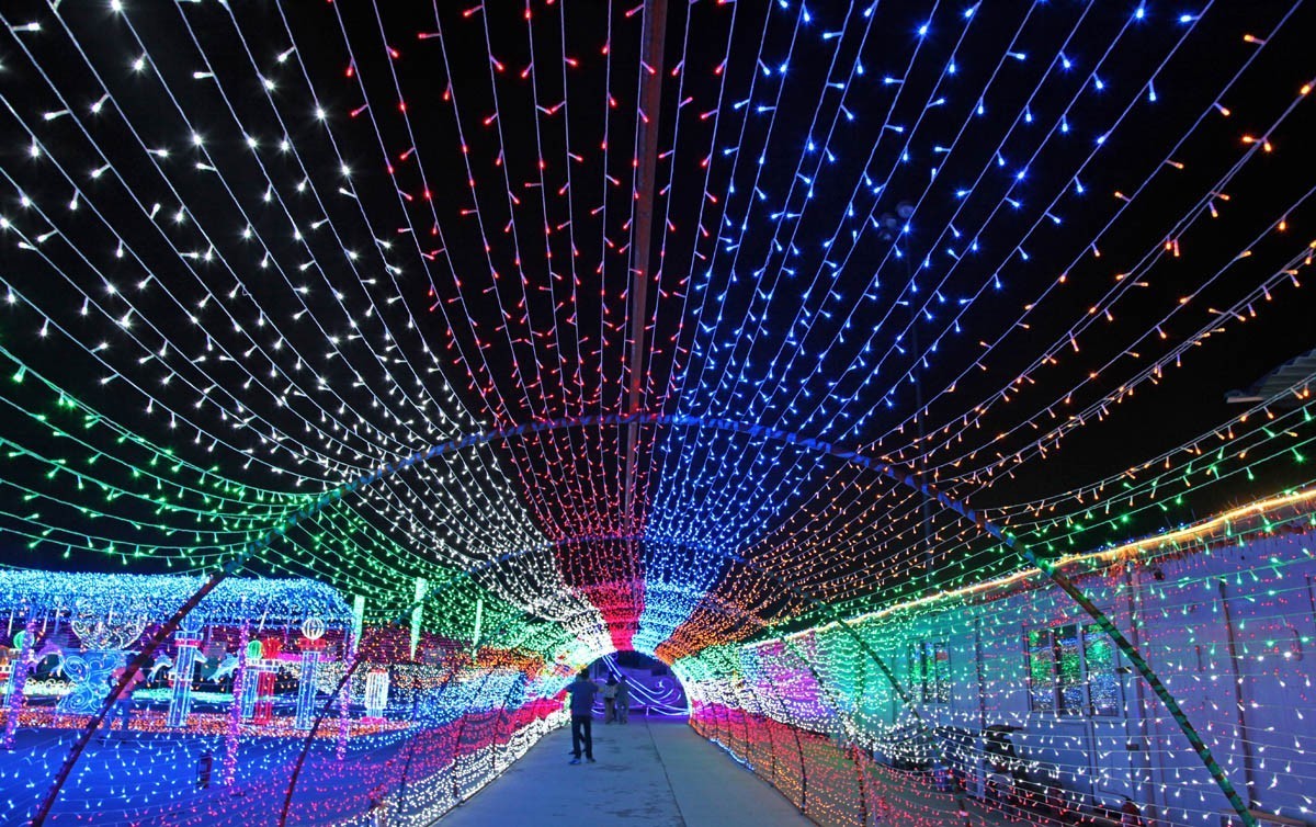 灯光璀璨翘夏日