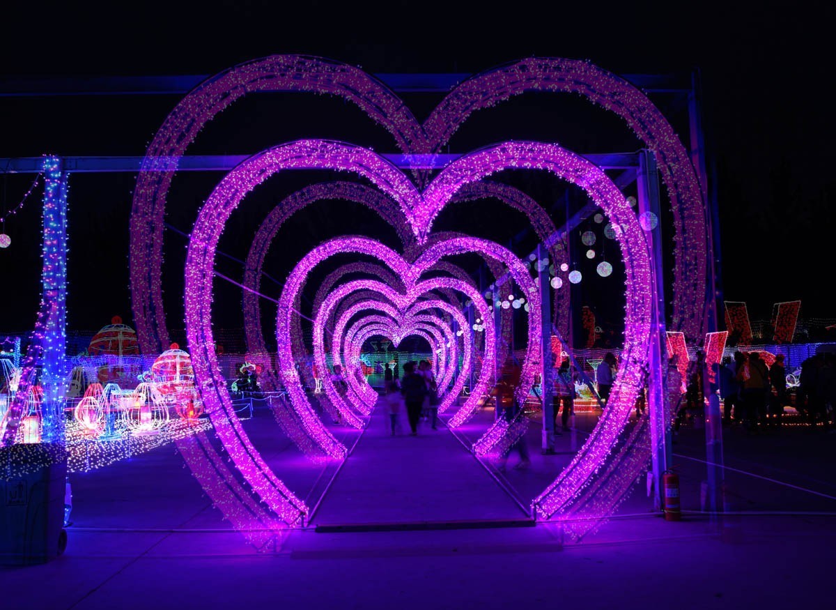 灯光璀璨翘夏日