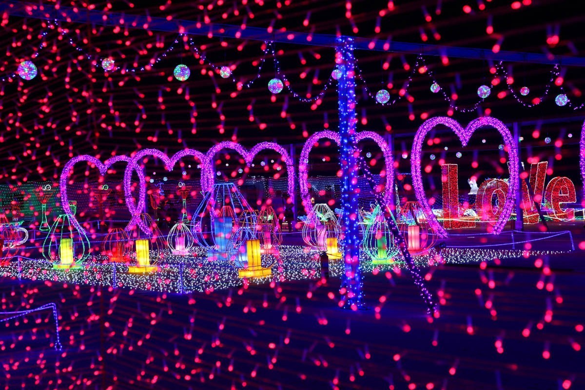 灯光璀璨翘夏日