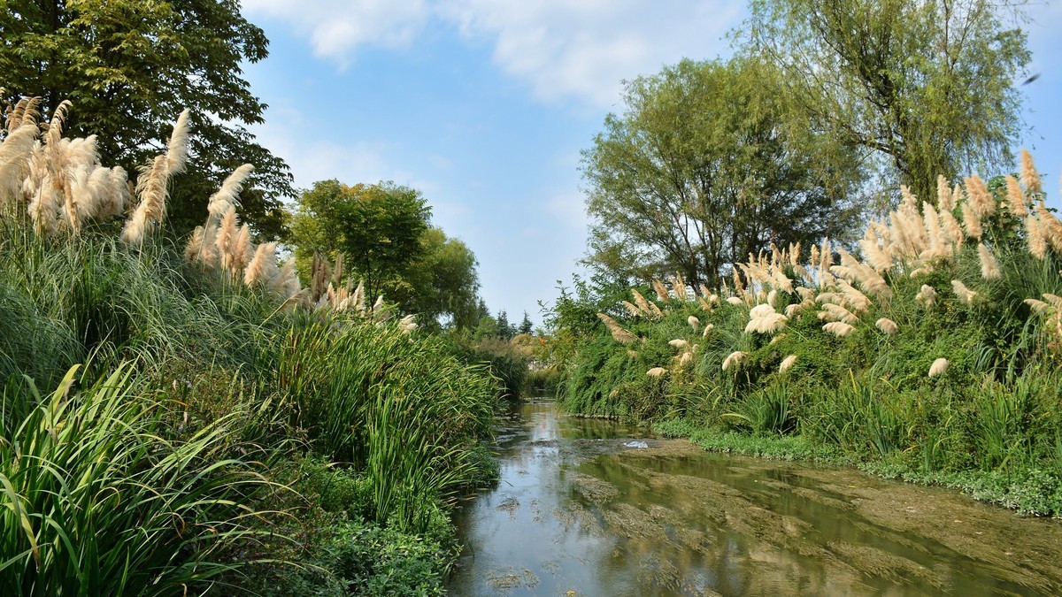 湿地公园秋拍（2025004）