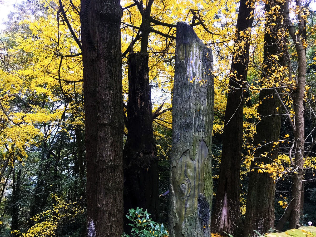 白岩寺里“罗汉寺（手机片）