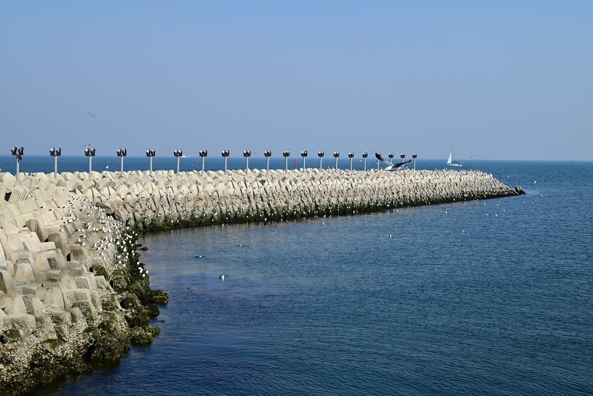 东港海边随手拍