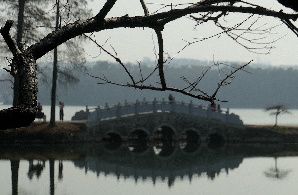 东湖梅花园十四