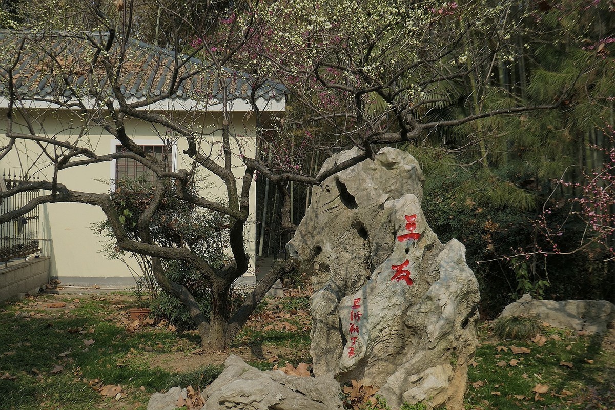 东湖梅花园十四