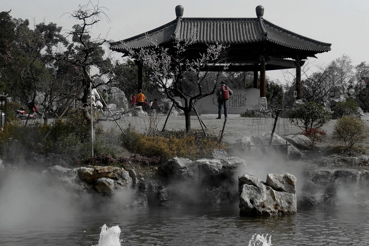 东湖梅花园十四