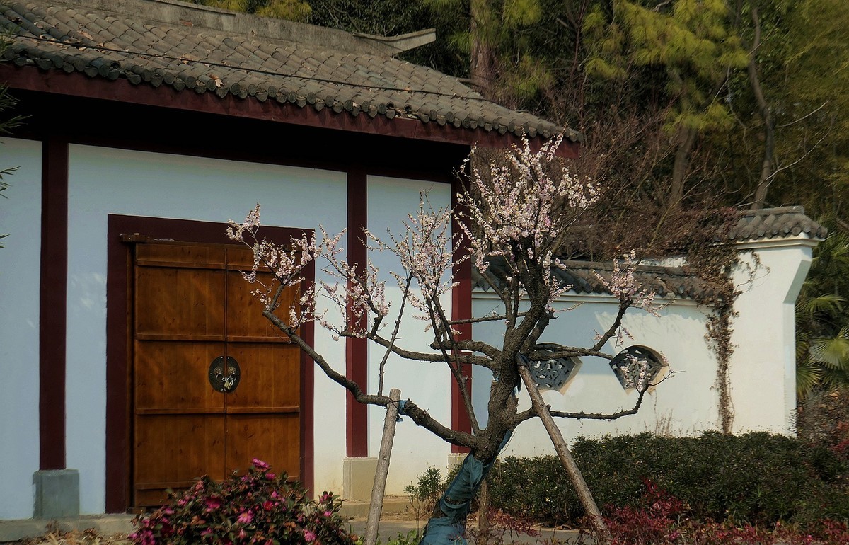 请假帖—东湖梅花园十五