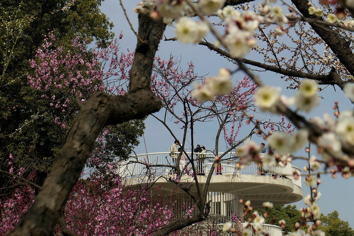 请假帖—东湖梅花园十五