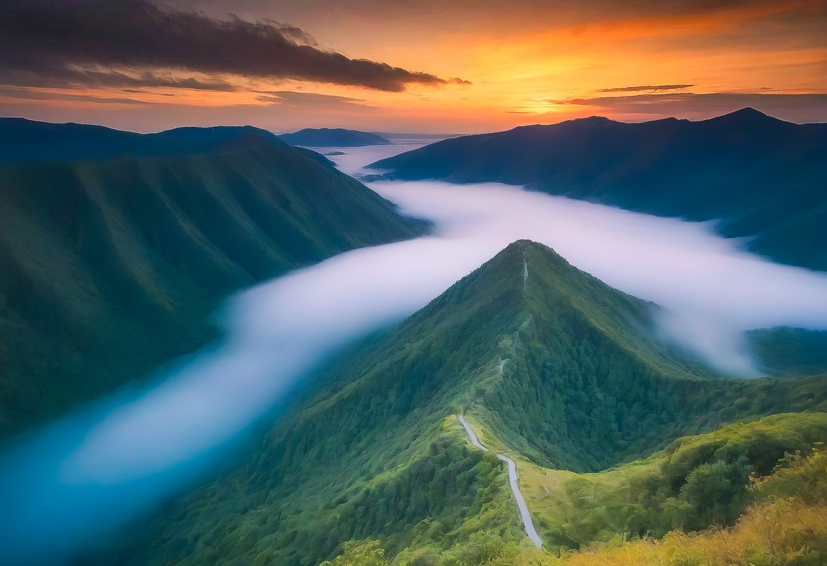 不期而遇的美丽