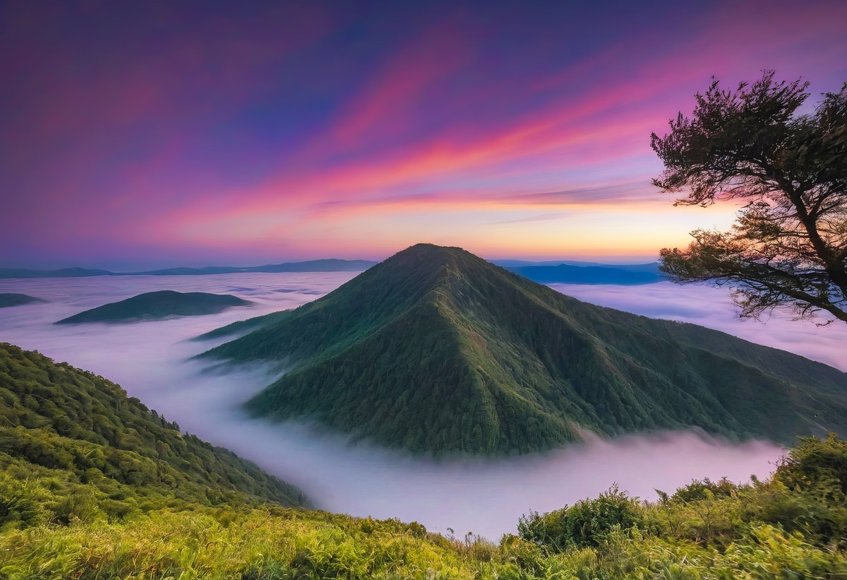 不期而遇的美丽