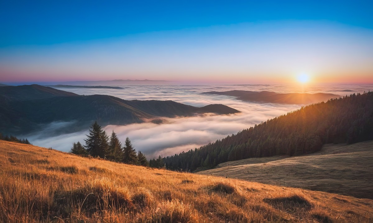 不期而遇的美丽