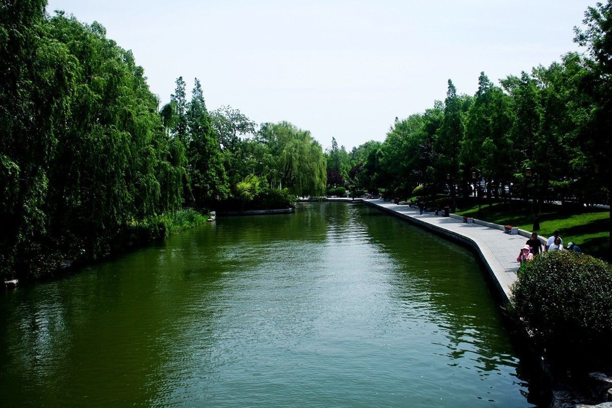 随拍——明湖初夏（三）