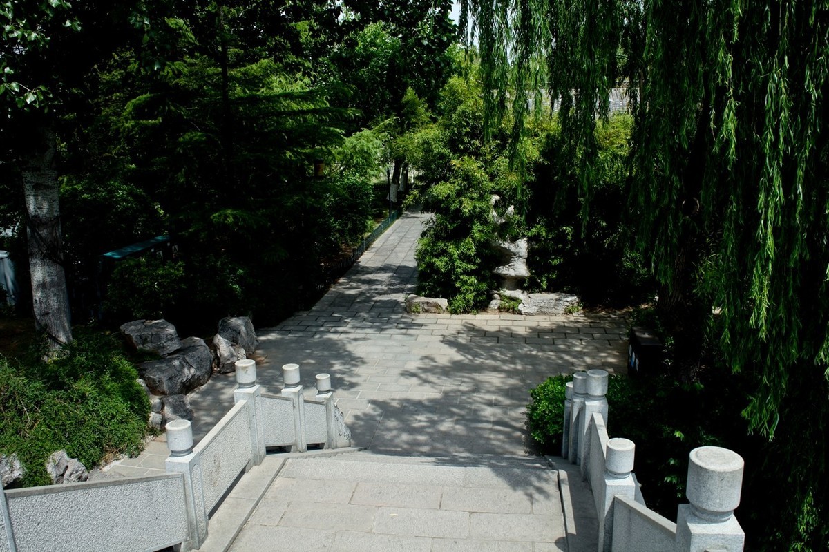 随拍——明湖初夏（三）