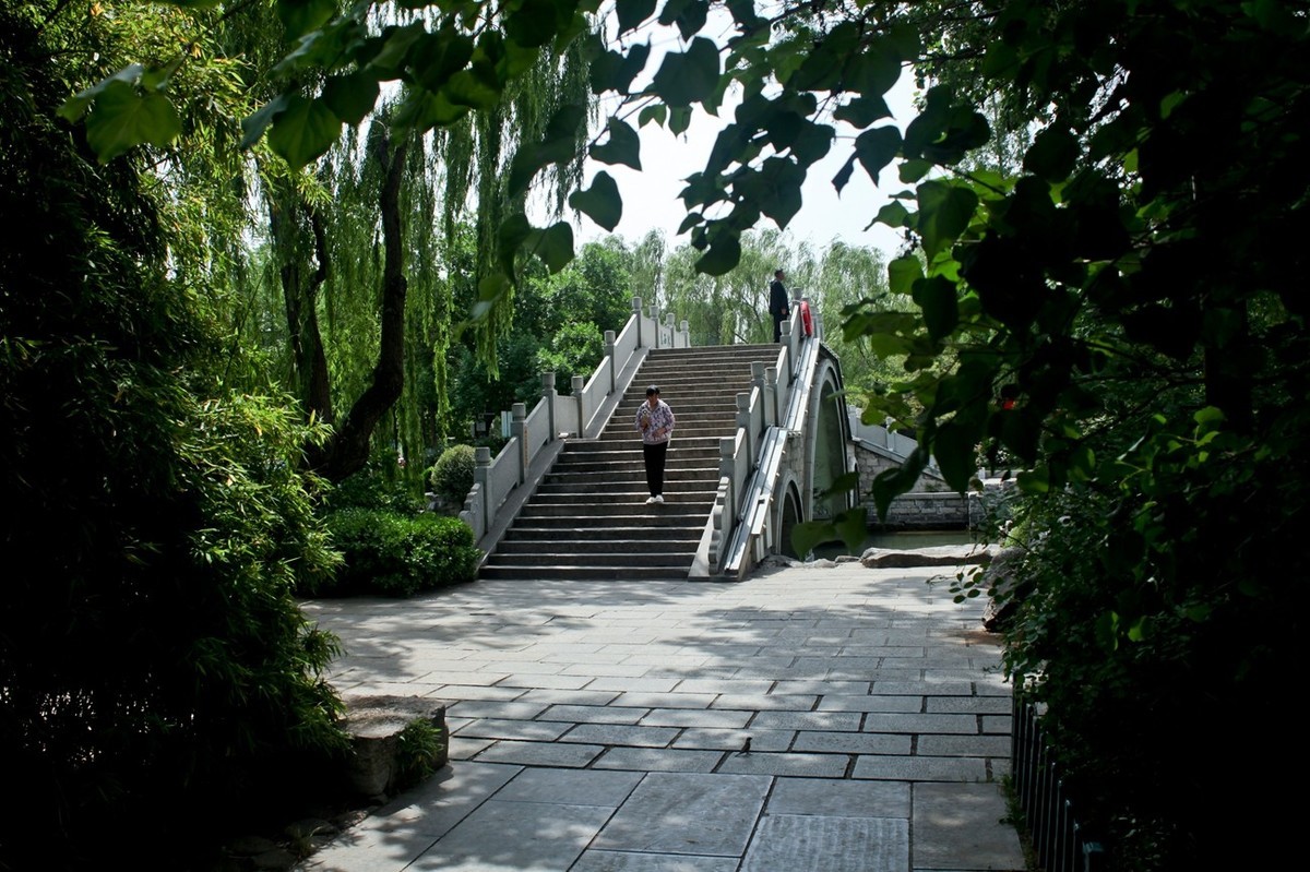 随拍——明湖初夏（三）