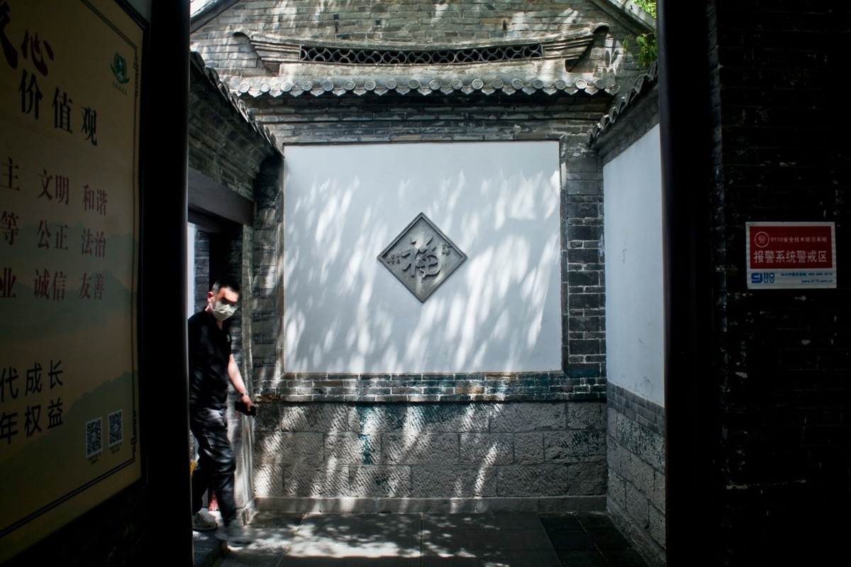 随拍——明湖初夏（三）