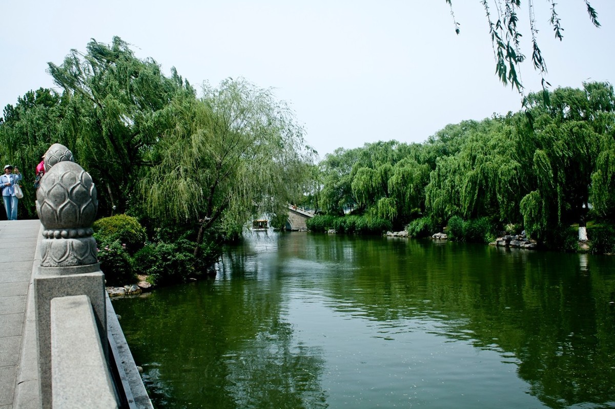 随拍——明湖初夏（三）